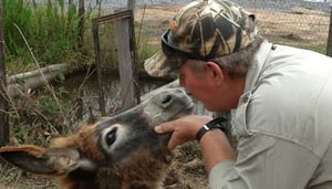 Bally Vaughan Animal and Bird Sanctuary
