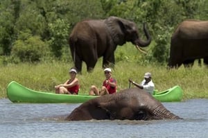 Canoe Safaris