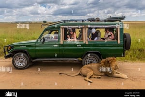 Excursión de medio día a Chobe desde las cataratas Victoria