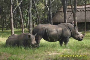 Darwendale Recreational Park