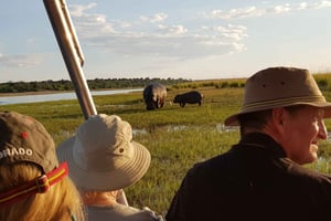 Von Victoria Falls: Chobe Tagessafari mit Mittagsbuffet