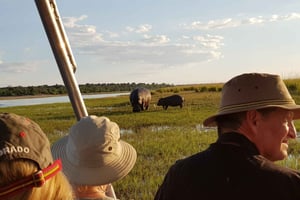 Desde las cataratas Victoria Safari de un día a Chobe con almuerzo buffet