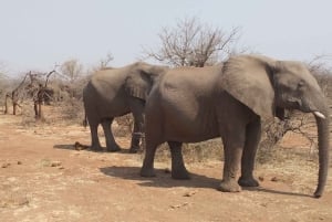 Z Victoria Falls: Zambezi National Park Game Drive