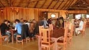 Game Drive Safaris (Wild Horizons)