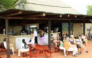 Shearwater Elephant in the moon