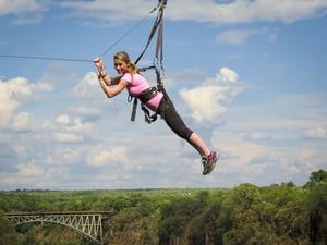 High Wire Activities (Wild Horizons)