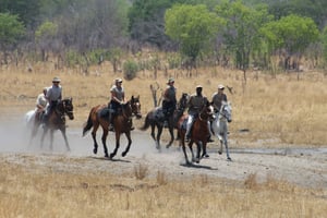 Imvelo Safari Lodges Horse Riding
