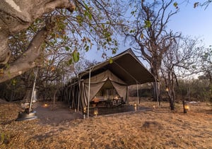 Machaba Safaris - Ingwe Pan