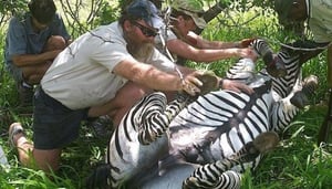 Kariba Animal Welfare Fund Trust