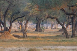 Machaba Safaris Mana River Camp -Mwinilunga