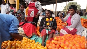 Top 5 Places For Curio Shopping