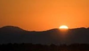 Night Game Drive & Bush Dinner