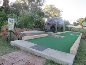 Safari Putt Putt
