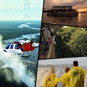 Shearwater The Full Monty