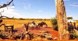 Somalisa Expeditions