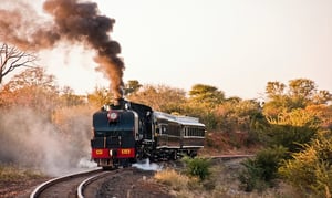 The Bushtracks Express