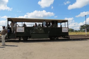 The Elephant Express