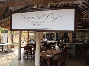 Shearwater The Rainforest Cafe