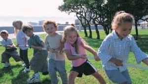 Tree of Life Adventures