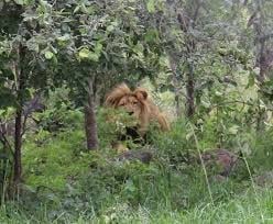 Twala Trust Visit - Mativi Africa