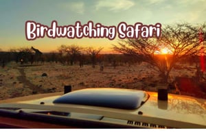 Victoriafälle: Vogelbeobachtungs-Safari im Zambezi National Park