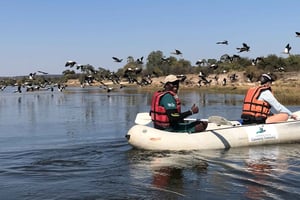 La compagnia di canoa di Victoria Falls gestisce e gestisce canoa t