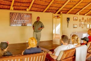 Victoriafallene: Elecrew gjennom en elefants øyne