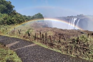 Victoria Falls: Guidet tur med lokale guider