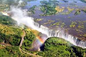 Victoria Falls Guided Walking Tour & Vulture Experience