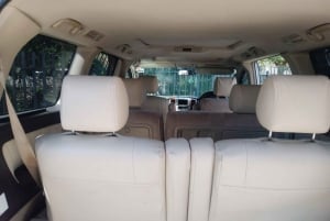 Victoria Falls Private Airport Transfer