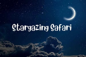 Victoria Falls Night Activity: Stargazing Safari
