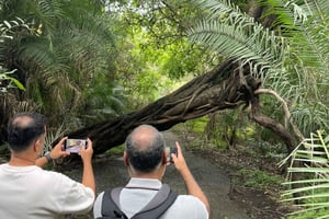 Cataratas Victoria: tour a pie guiado