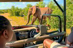 Victoria Watervallen: Zambezi Nationaal Park Game Drive