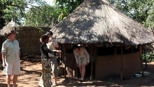 Village & Township (Adventure Zone)