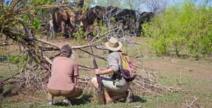 Walking Safaris - (Wild Horizons)