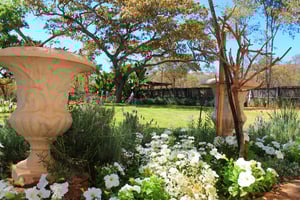 Wild Geese Lodge Corporate