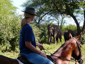 Wild Horizons Horse Riding Safaris
