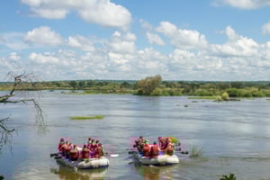 Wild Horizons Livingstone River Tour