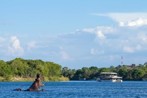 Wild Horizons Victoria Falls River Safari