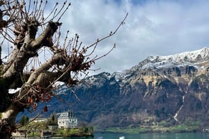 Het beste van Zwitserland Berner Oberland dagtrip met kabelbaan