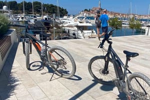 Частный велосипедный тур с трансфером из Цюриха