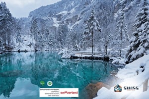 Blausee Lake and Charming Interlaken Private Day Trip
