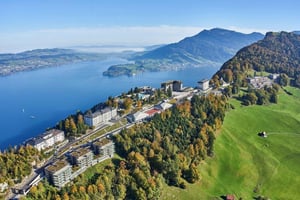 Från Zürich: Linbana till Bürgenstock-berget och Lucernesjön