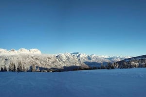 От главного вокзала Цюриха: 4 часа лыжной школы для начинающих с путешествием