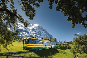 Vanuit Zürich: Dagtrip van de Eiger naar Kleine Scheidegg
