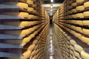 Gruyères, Cheese & Chocolate Private Day Tour | From Zurich