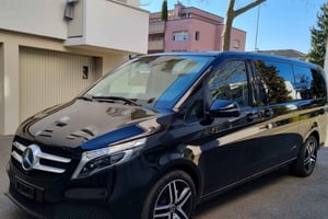 Zürich: ZRH flyplass til sentrum|Hotell privat overføring