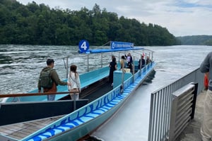 Частный тур к Рейнскому водопаду с трансфером из отеля