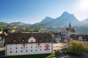 Швиц: Музей-билет Форум швейцарской истории Швиц