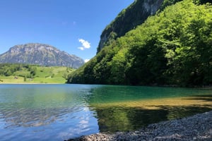 Sveitsin kohokohdat: opastettu kiertue Zürichissä, Luzernissa ja Baselissa
